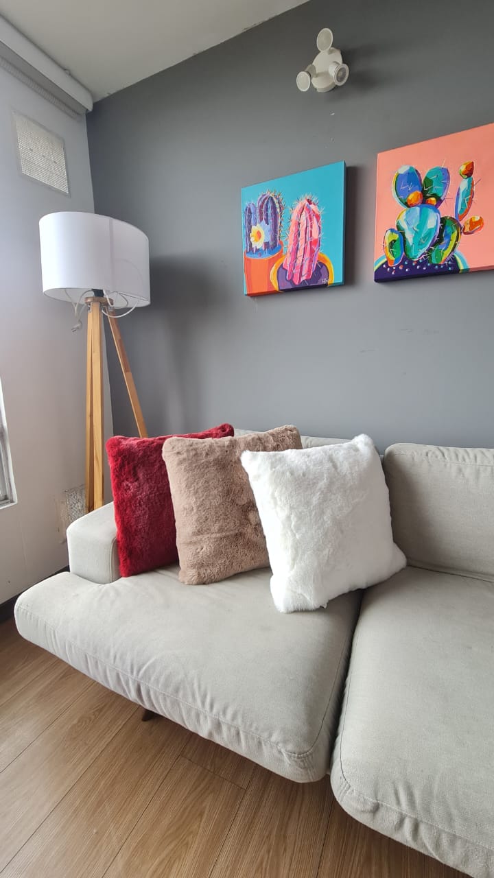 Cojin decorativo